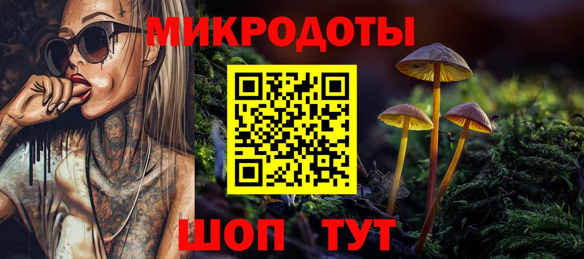 Галлюциногенные грибы Psilocybe Химки