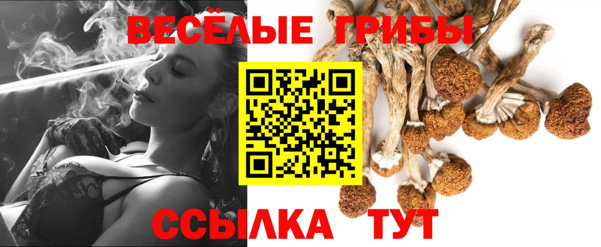 Химки  Псилоцибиновые грибы ЛСД  Галлюциногенные грибы мухоморы  Вход с VPN 